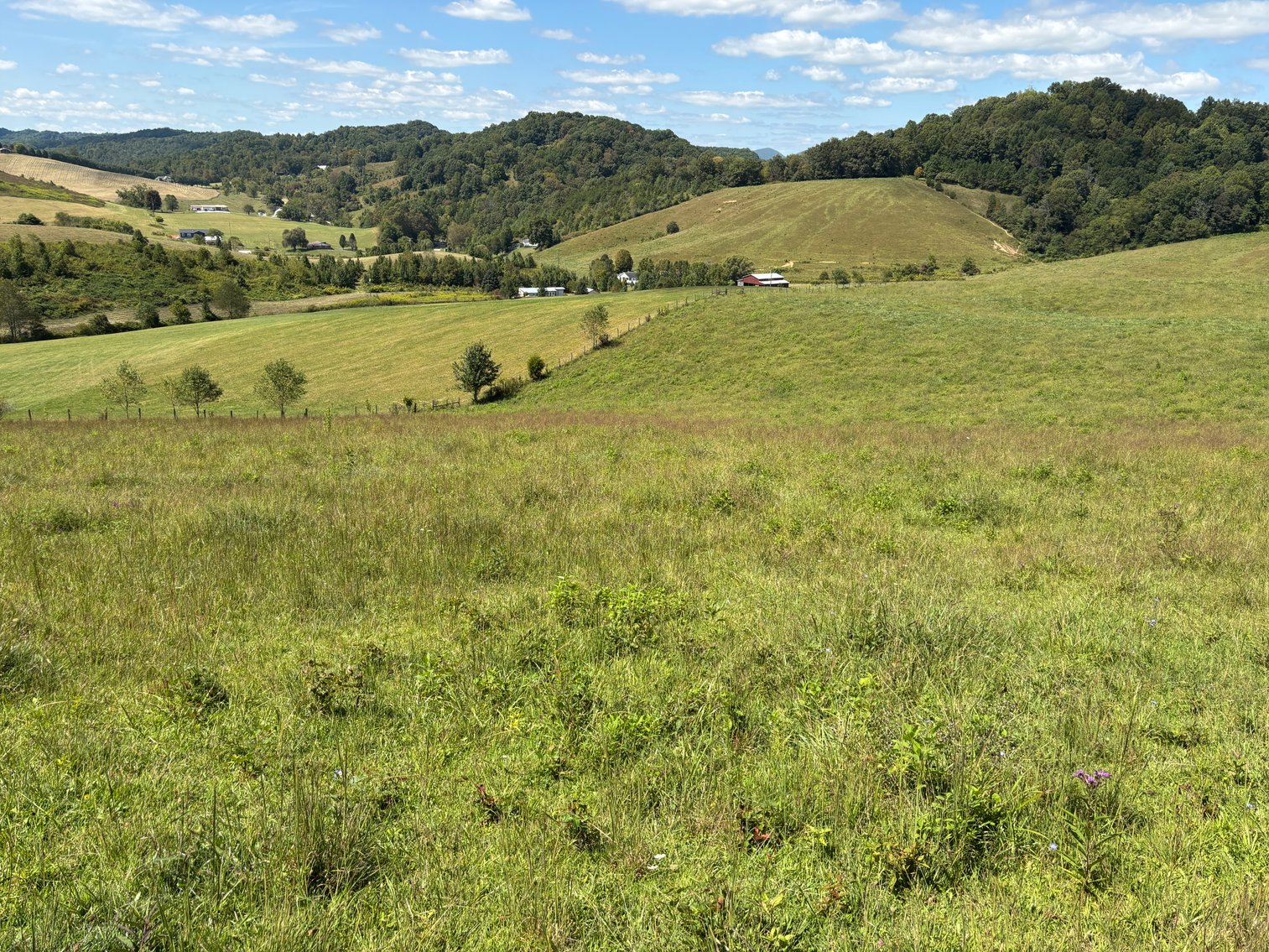 Image for McCroskey Auction Sat. Oct. 25 @ 10 A.M. 15058 Rich Valley Rd. Abingdon, VA. 24210