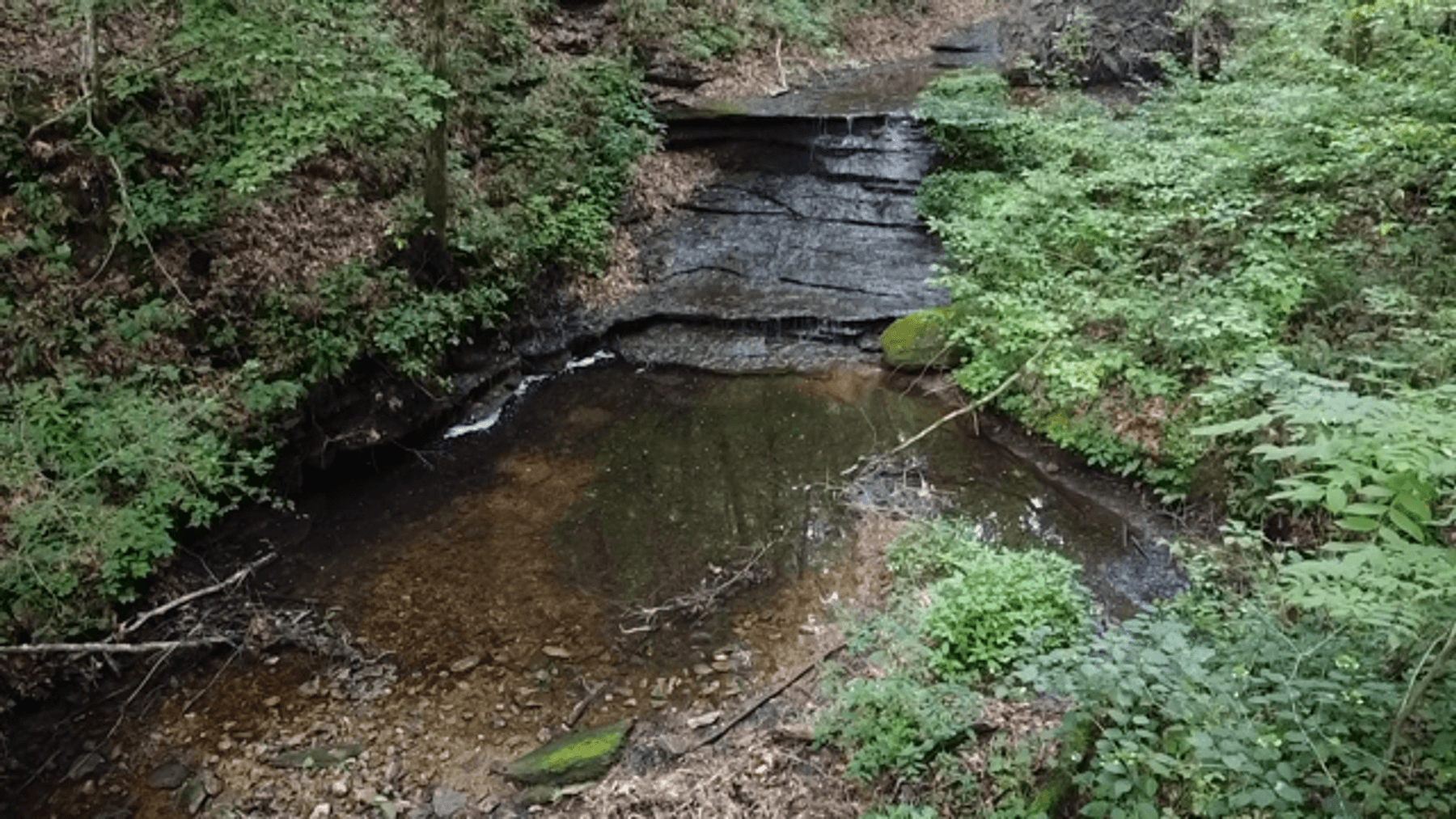 Image for Caney Fork Creek - 22 acres of Amazing Nature + Comfortable Old Log Cabin + Guest House + Shop