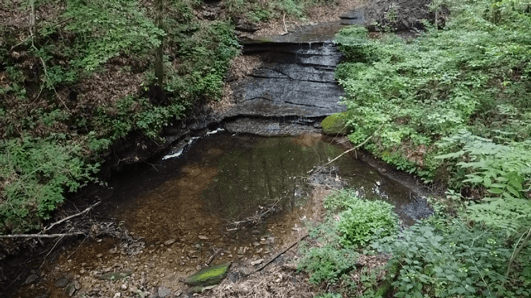 Image for Caney Fork Creek - 22 acres of Amazing Nature + Comfortable Old Log Cabin + Guest House + Shop