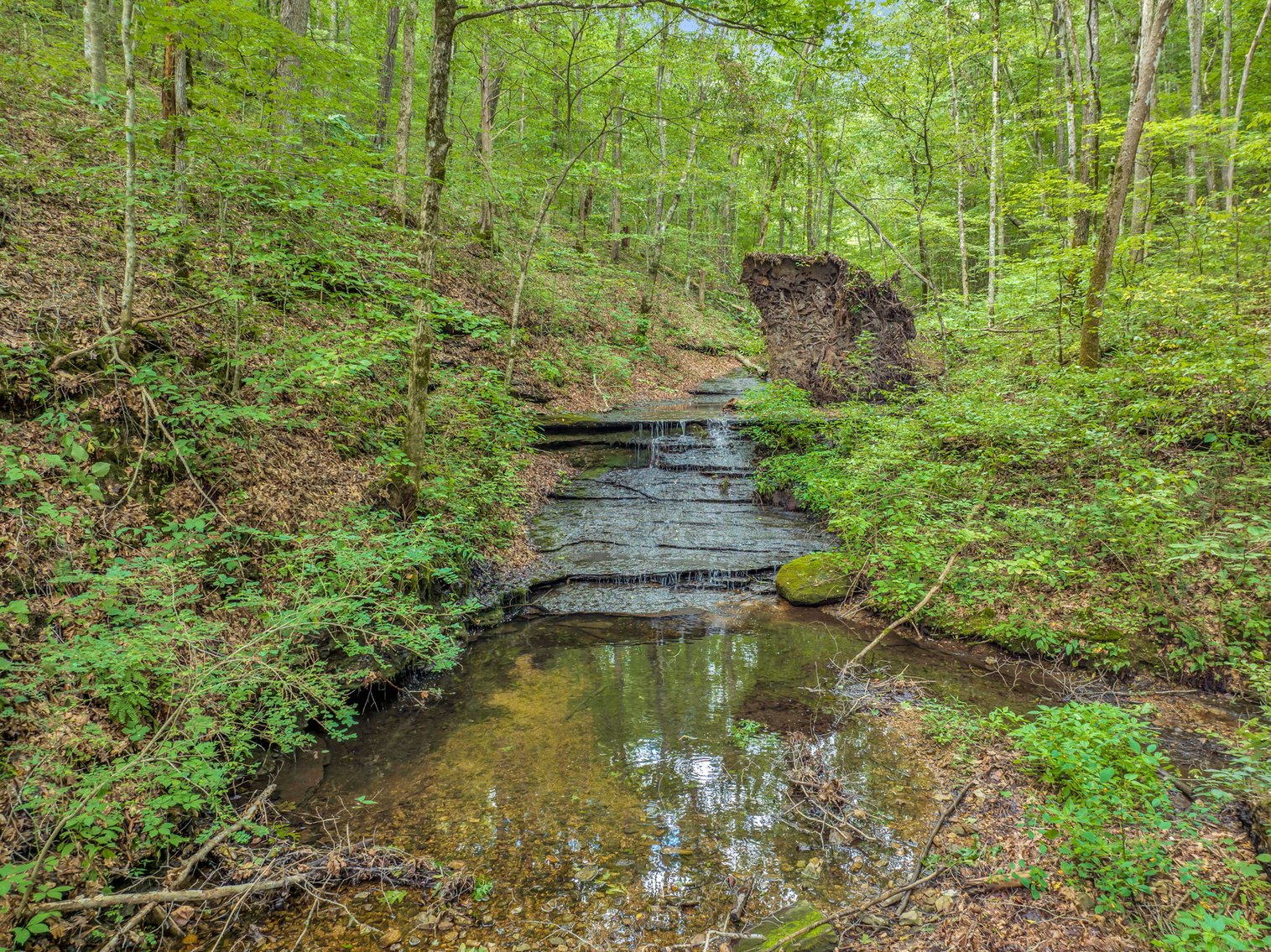 Image for Caney Fork Creek - 22 acres of Amazing Nature + Comfortable Old Log Cabin + Guest House + Shop