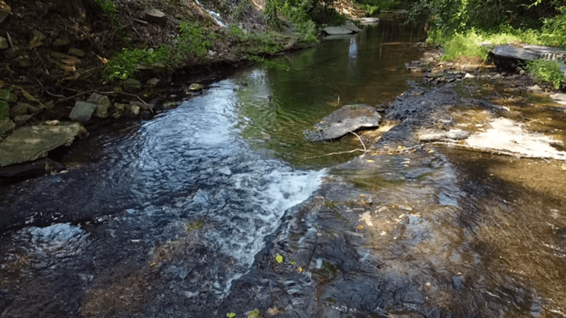 Image for Cow Hollow Creek w/15 acres  - 1263 Hwy 438 SW, Centerville, TN 37033