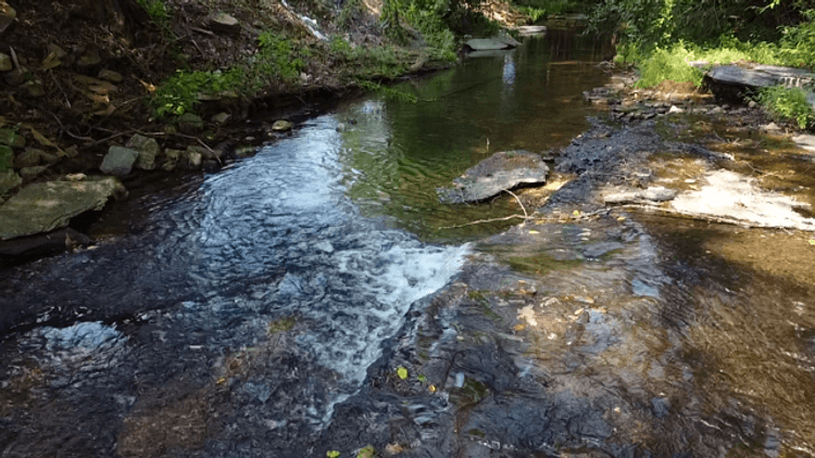 Image for Cow Hollow Creek w/15 acres  - 1263 Hwy 438 SW, Centerville, TN 37033