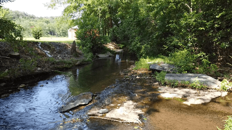 Image for Cow Hollow Creek w/15 acres  - 1263 Hwy 438 SW, Centerville, TN 37033