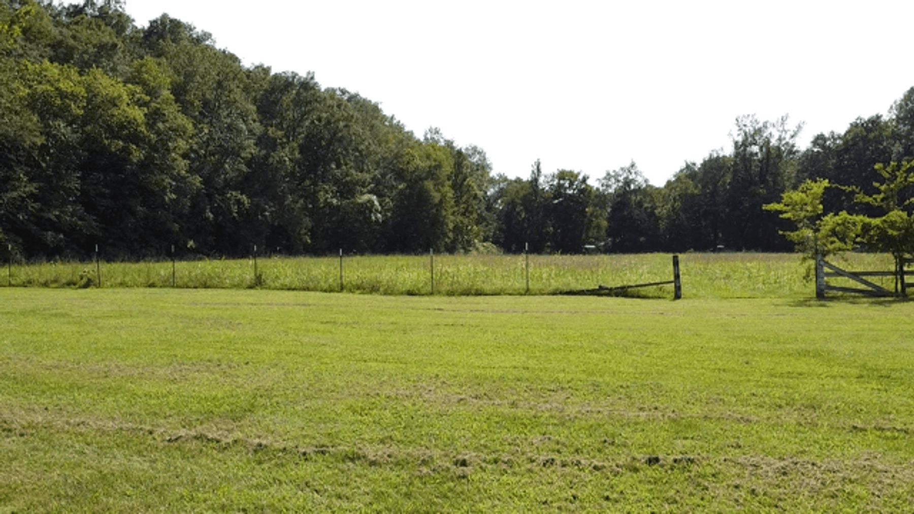 Image for Cow Hollow Creek w/15 acres  - 1263 Hwy 438 SW, Centerville, TN 37033
