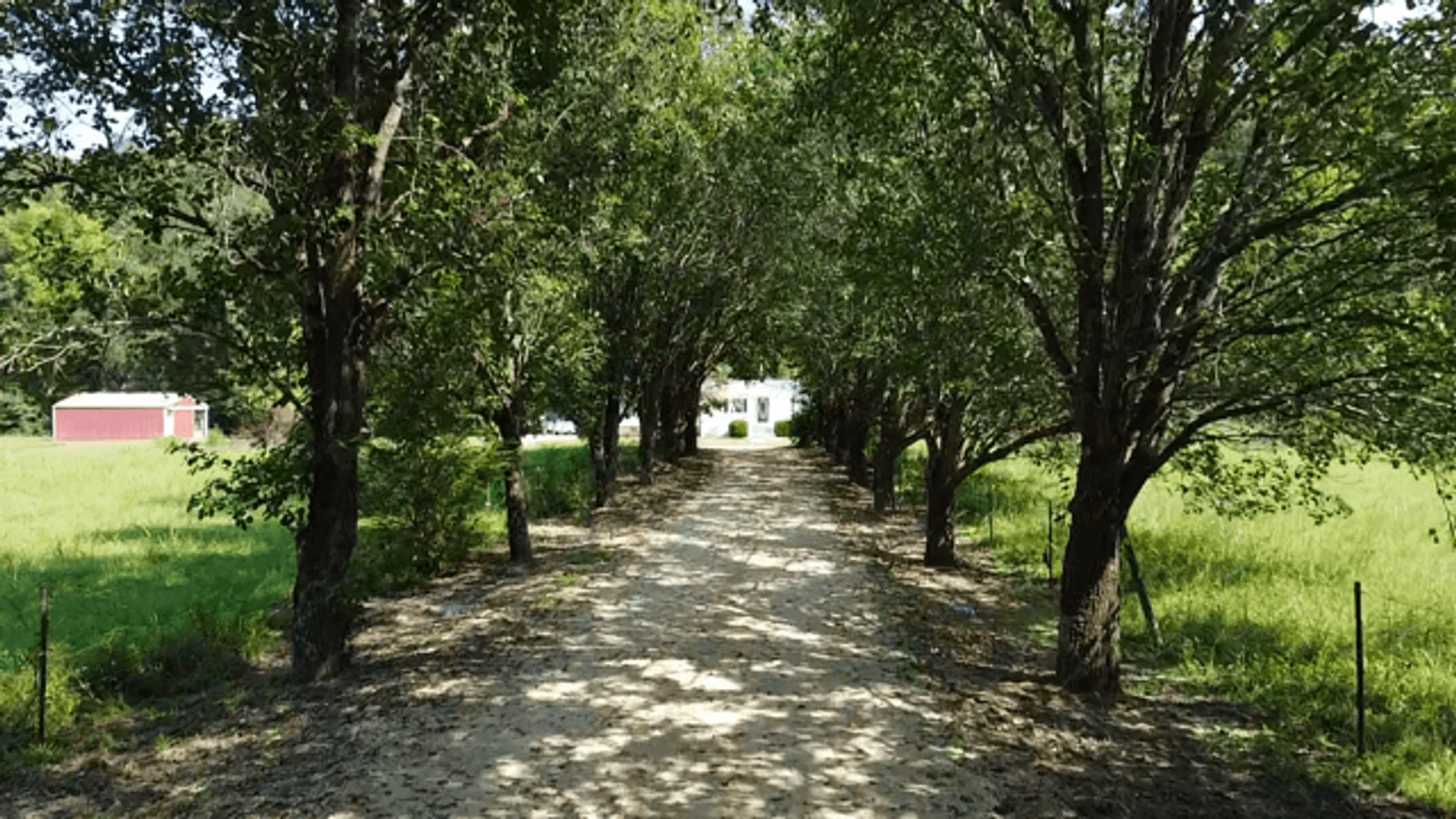 Image for Cow Hollow Creek w/15 acres  - 1263 Hwy 438 SW, Centerville, TN 37033