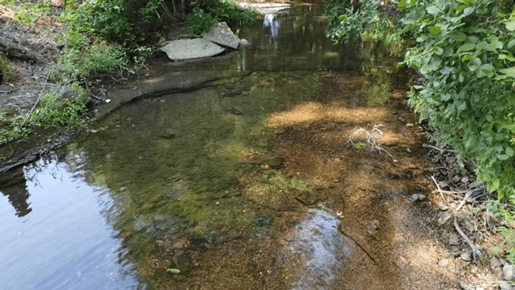 Image for Cow Hollow Creek w/15 acres  - 1263 Hwy 438 SW, Centerville, TN 37033