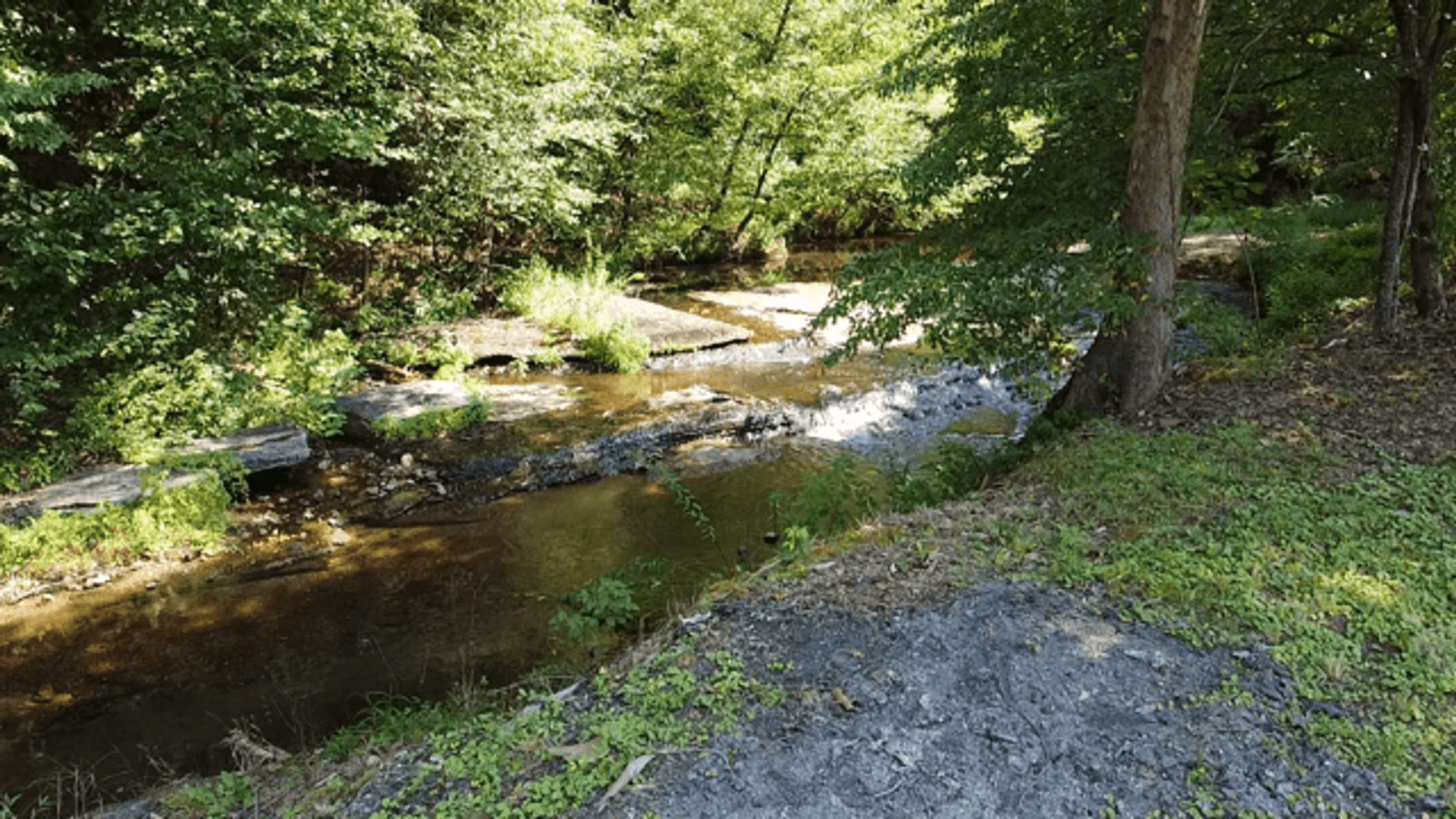Image for Cow Hollow Creek w/15 acres  - 1263 Hwy 438 SW, Centerville, TN 37033