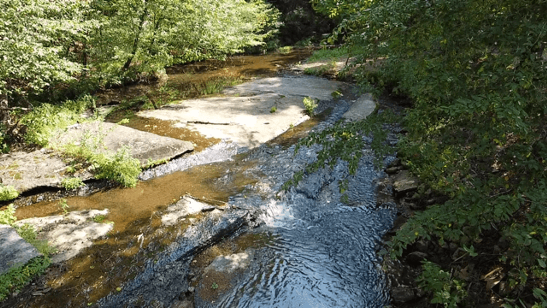 Image for Cow Hollow Creek w/15 acres  - 1263 Hwy 438 SW, Centerville, TN 37033