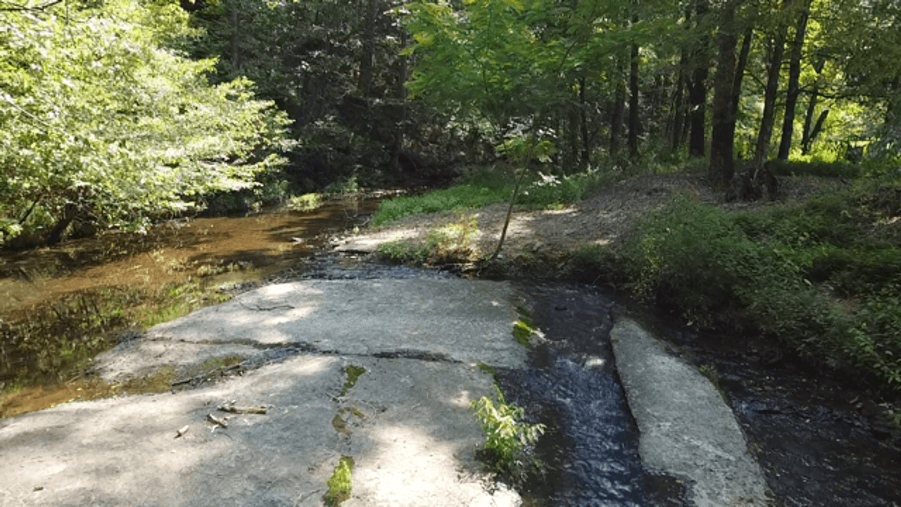 Image for Cow Hollow Creek w/15 acres  - 1263 Hwy 438 SW, Centerville, TN 37033