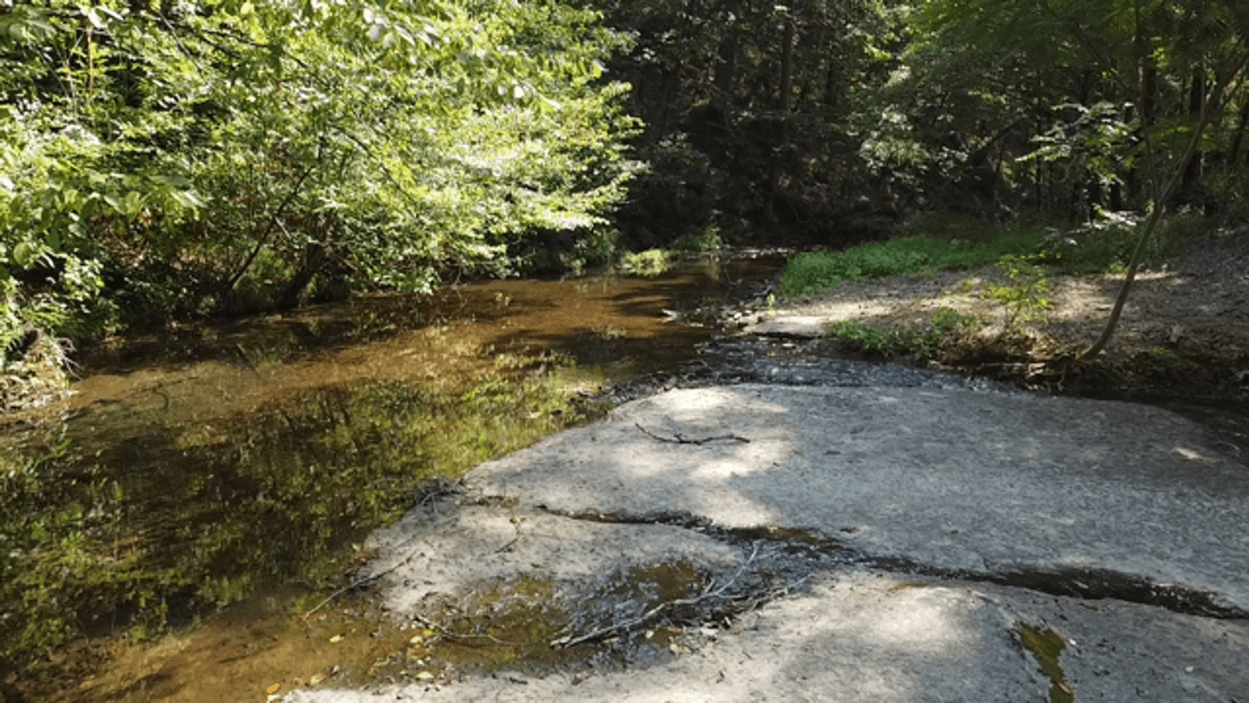 Image for Cow Hollow Creek w/15 acres  - 1263 Hwy 438 SW, Centerville, TN 37033