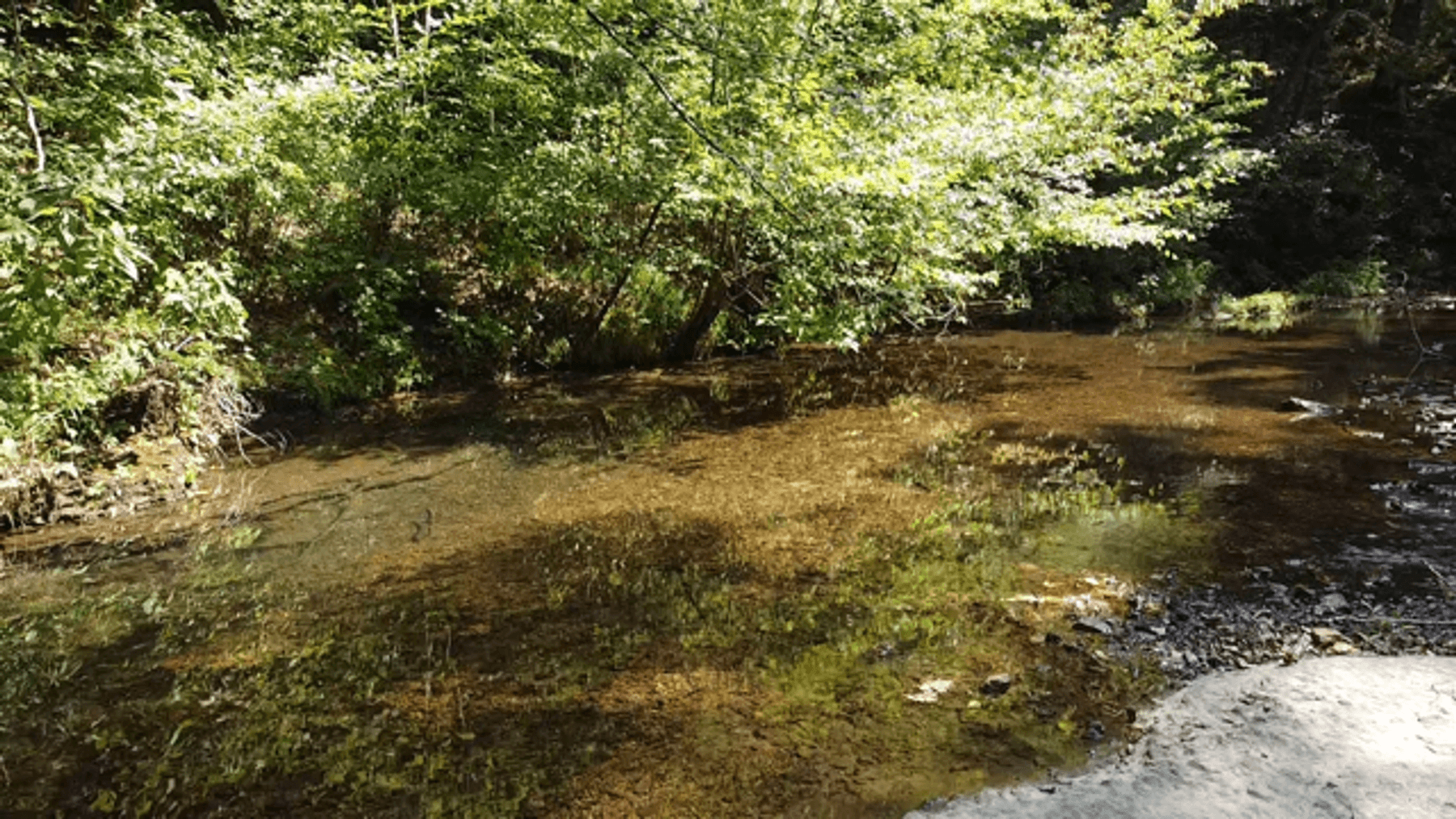 Image for Cow Hollow Creek w/15 acres  - 1263 Hwy 438 SW, Centerville, TN 37033