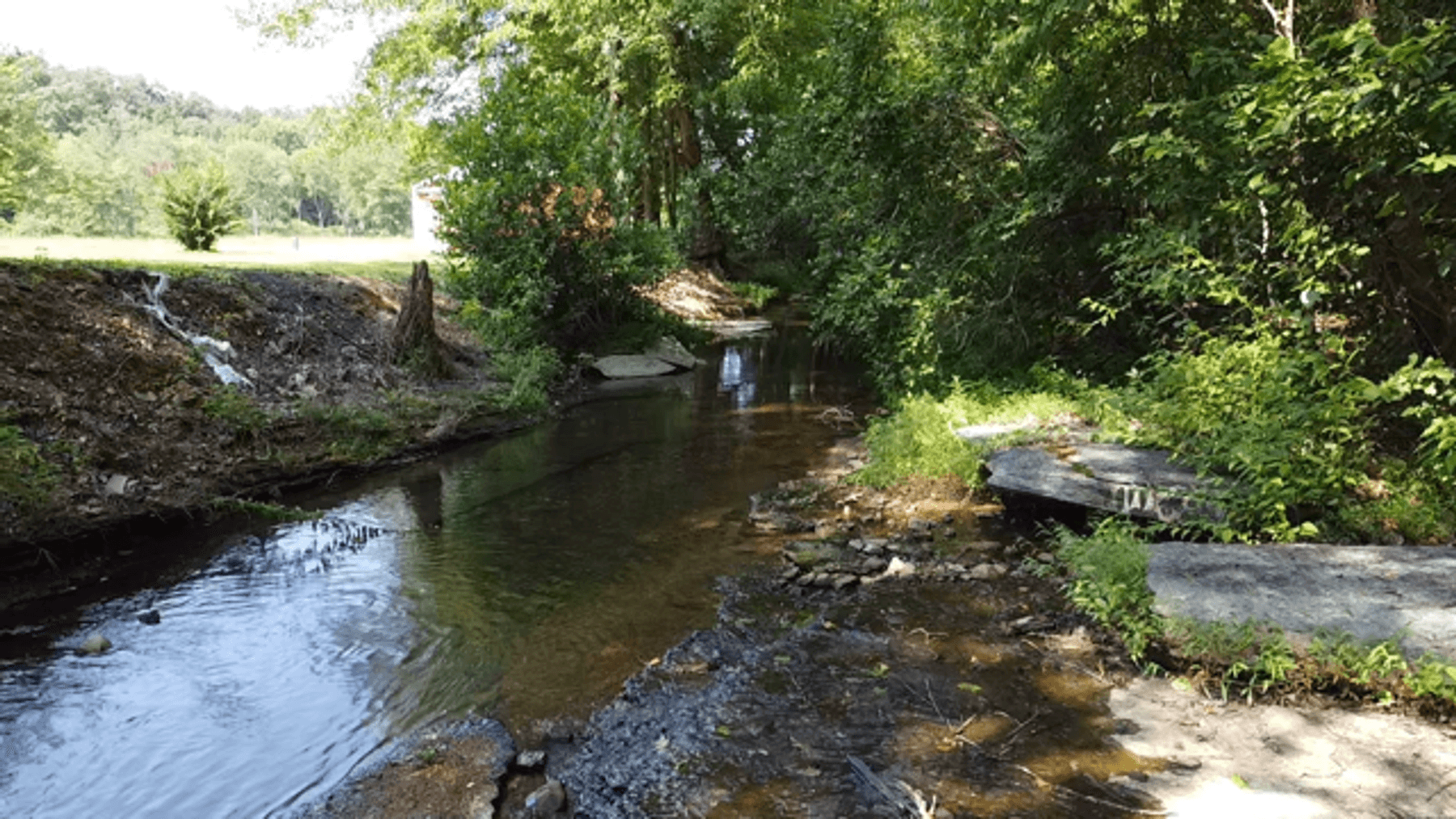 Image for Cow Hollow Creek w/15 acres  - 1263 Hwy 438 SW, Centerville, TN 37033