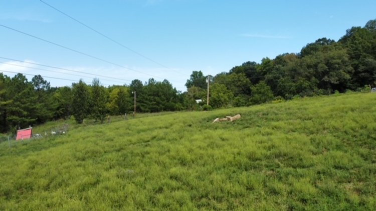 Image for 30 acres w/ Manufactured Home - 