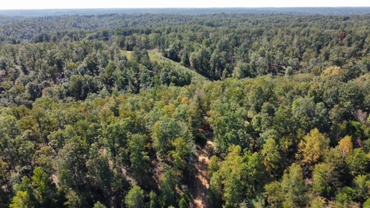 Image for 83 acres on Hwy 50 - 30 & 50 acre tracts - Hickman County