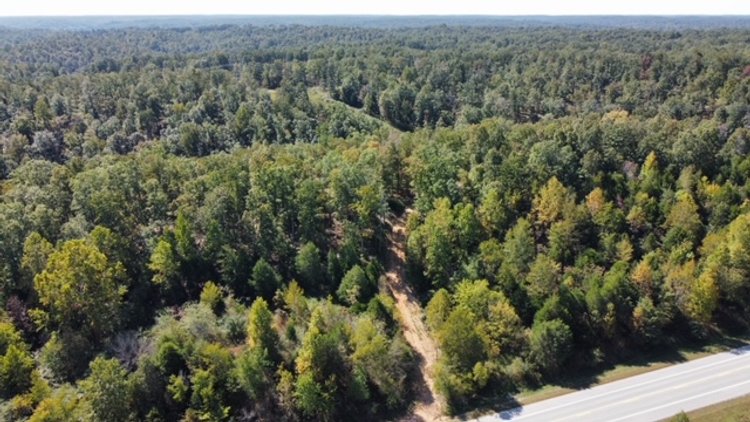Image for 83 acres on Hwy 50 - 30 & 50 acre tracts - Hickman County