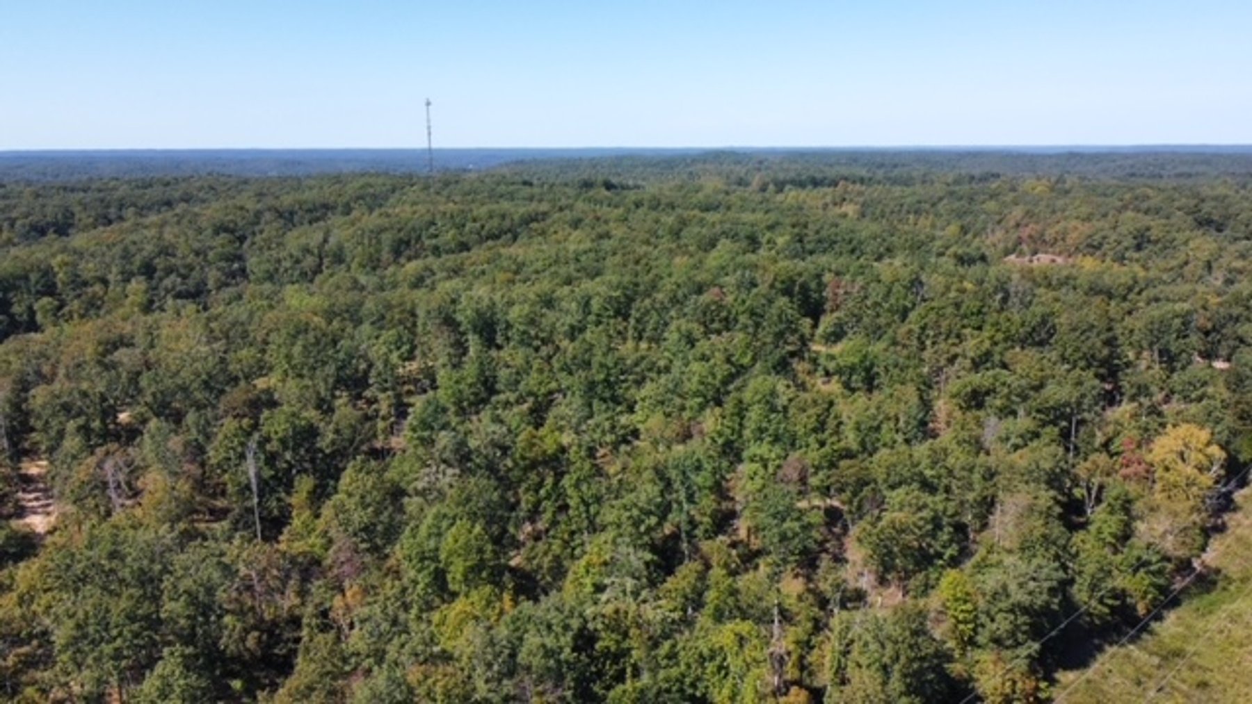 Image for 83 acres on Hwy 50 - 30 & 50 acre tracts - Hickman County