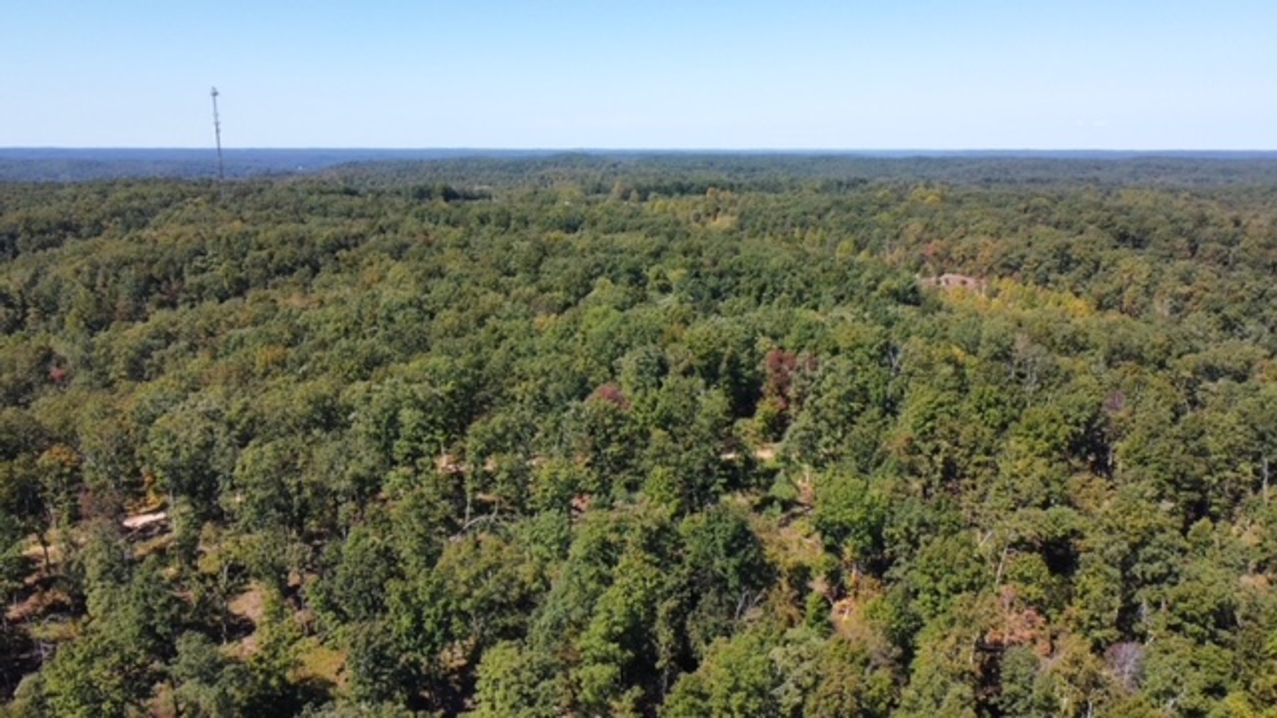 Image for 83 acres on Hwy 50 - 30 & 50 acre tracts - Hickman County