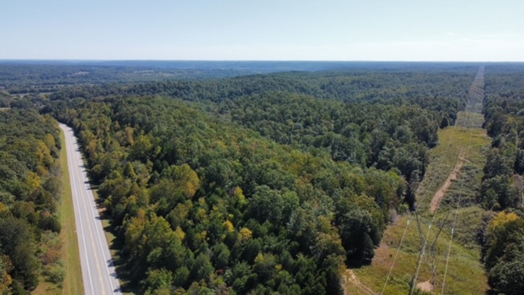 Image for 83 acres on Hwy 50 - 30 & 50 acre tracts - Hickman County