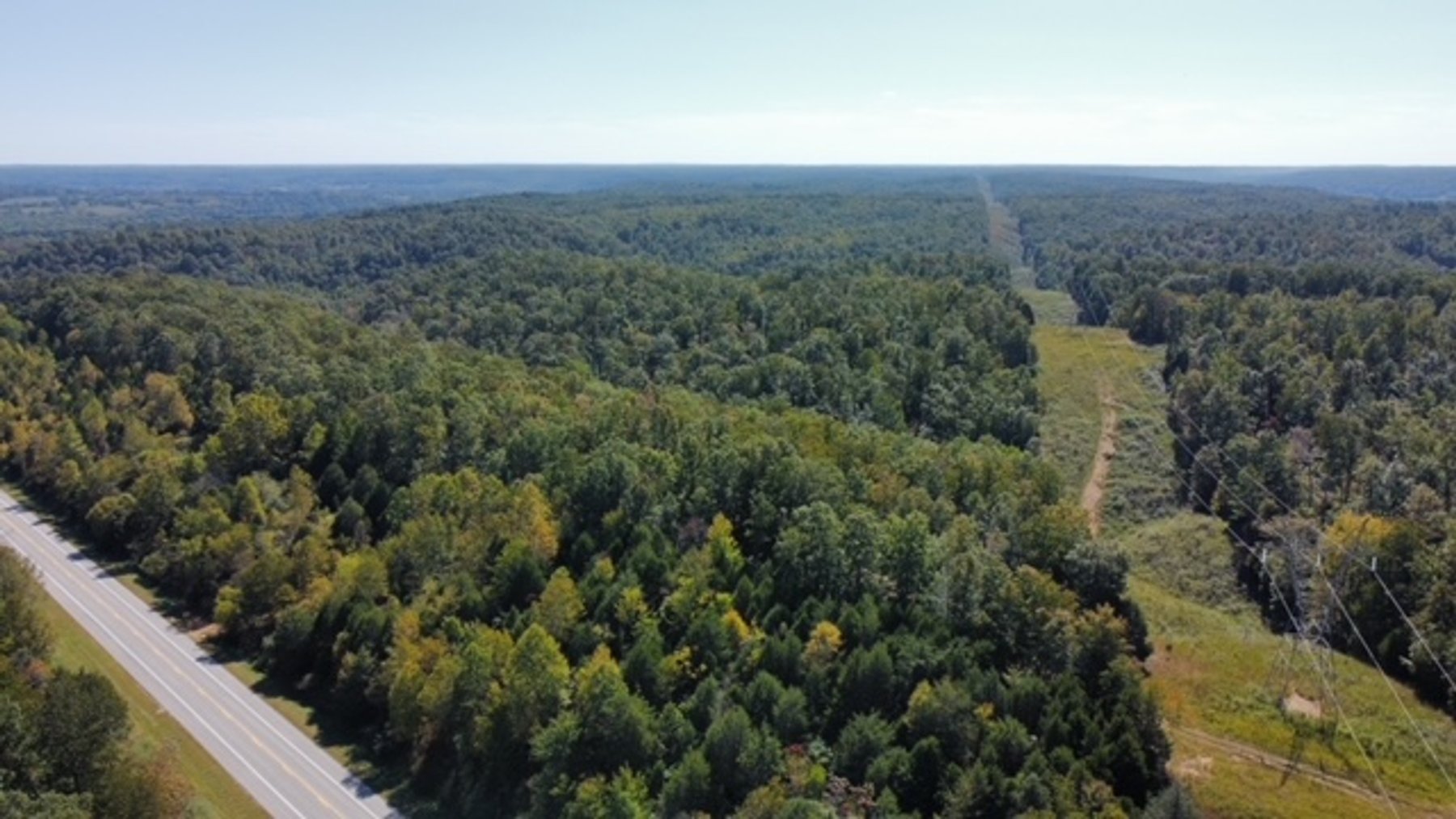 Image for 83 acres on Hwy 50 - 30 & 50 acre tracts - Hickman County