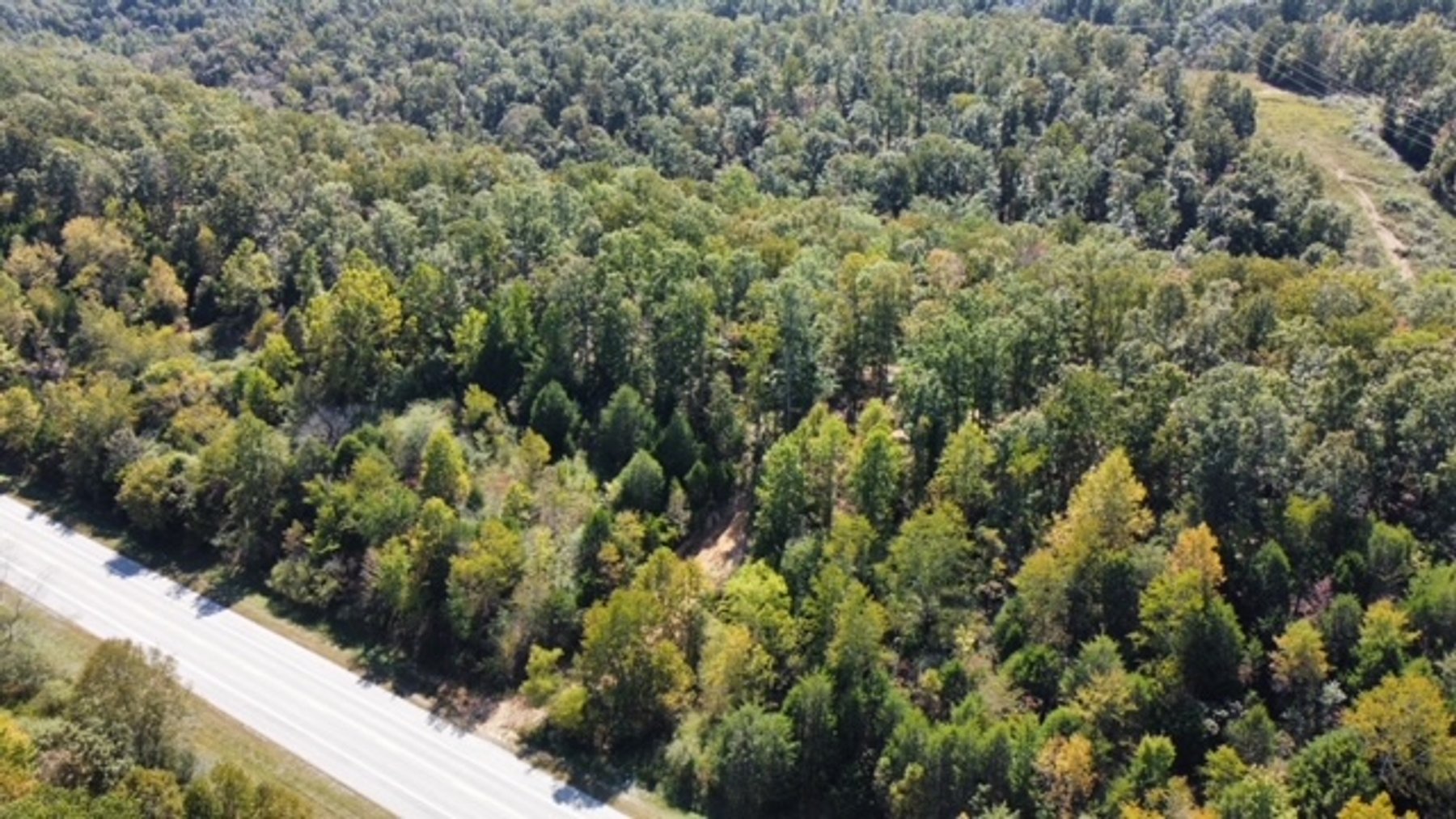 Image for 83 acres on Hwy 50 - 30 & 50 acre tracts - Hickman County
