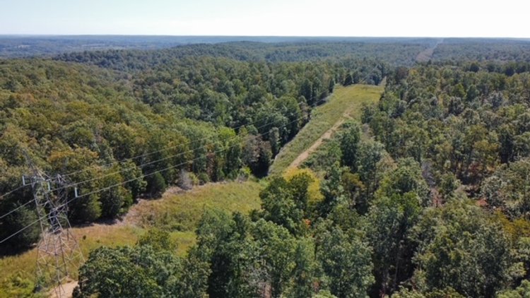 Image for 83 acres on Hwy 50 - 30 & 50 acre tracts - Hickman County