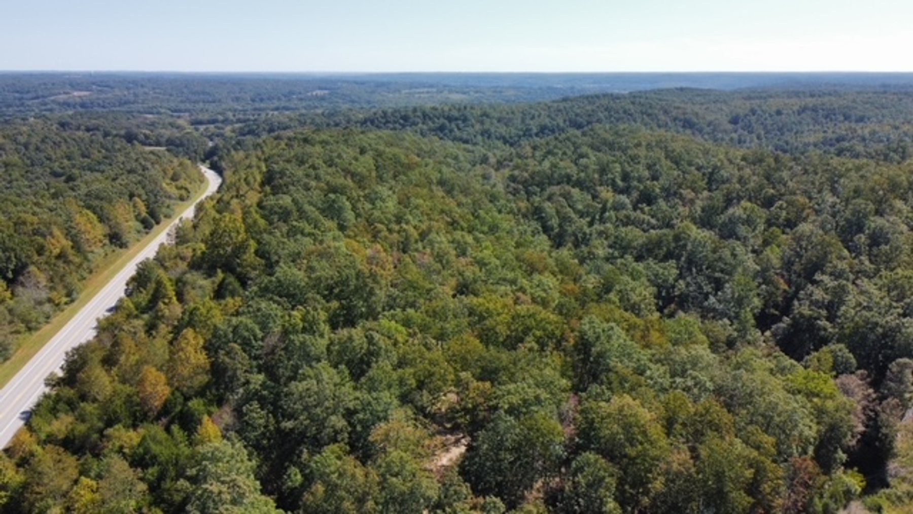 Image for 83 acres on Hwy 50 - 30 & 50 acre tracts - Hickman County