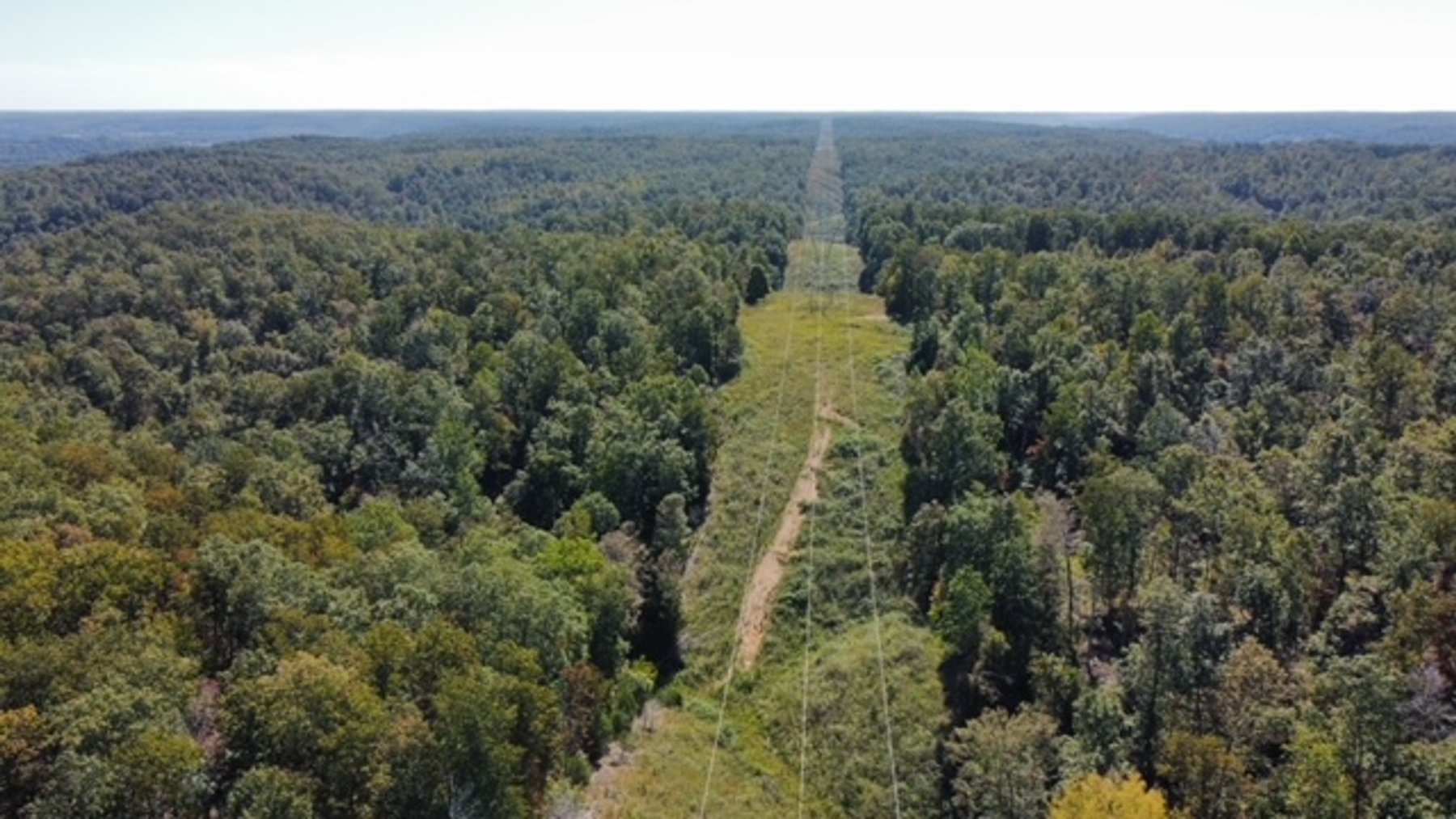 Image for 83 acres on Hwy 50 - 30 & 50 acre tracts - Hickman County