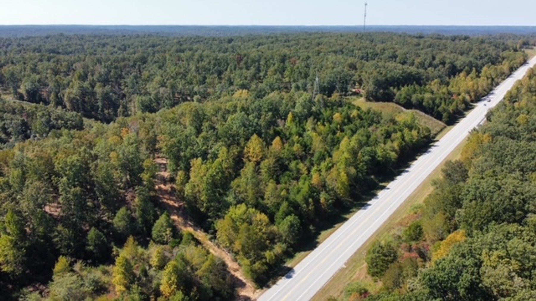 Image for 83 acres on Hwy 50 - 30 & 50 acre tracts - Hickman County