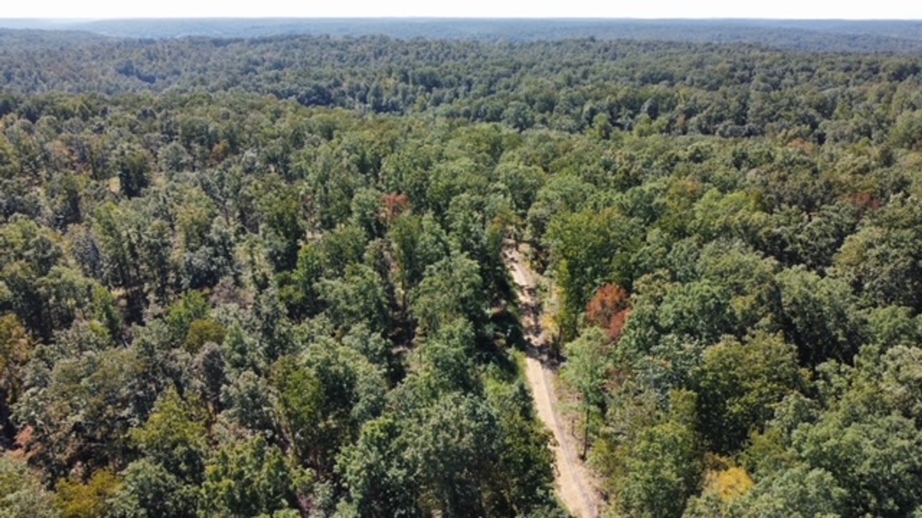 Image for 83 acres on Hwy 50 - 30 & 50 acre tracts - Hickman County