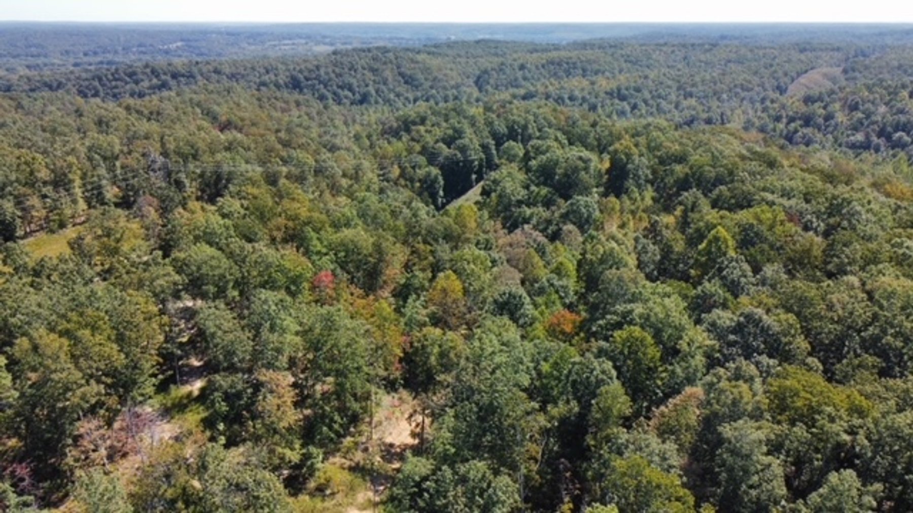 Image for 83 acres on Hwy 50 - 30 & 50 acre tracts - Hickman County