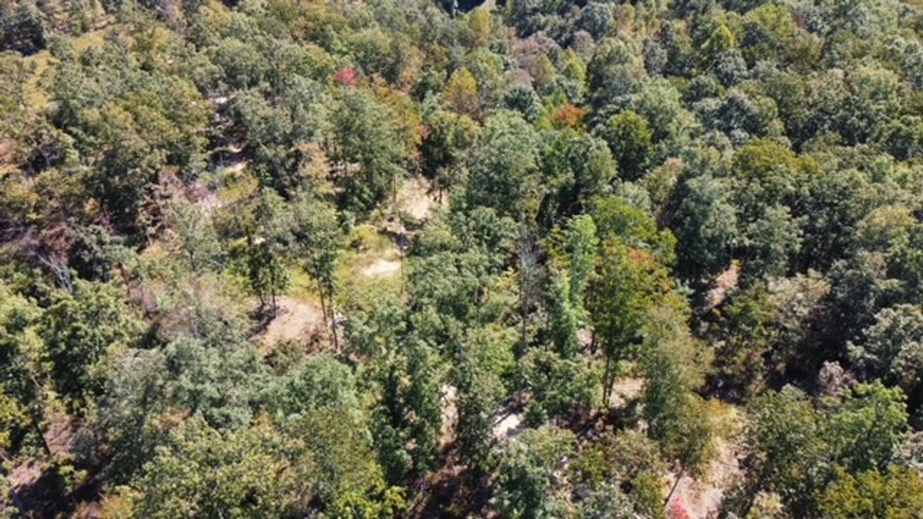 Image for 83 acres on Hwy 50 - 30 & 50 acre tracts - Hickman County