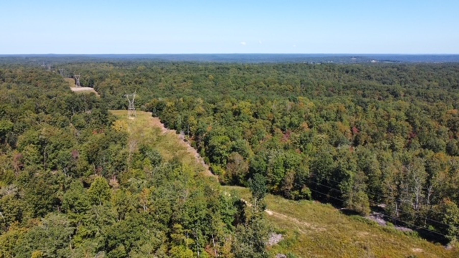 Image for 83 acres on Hwy 50 - 30 & 50 acre tracts - Hickman County