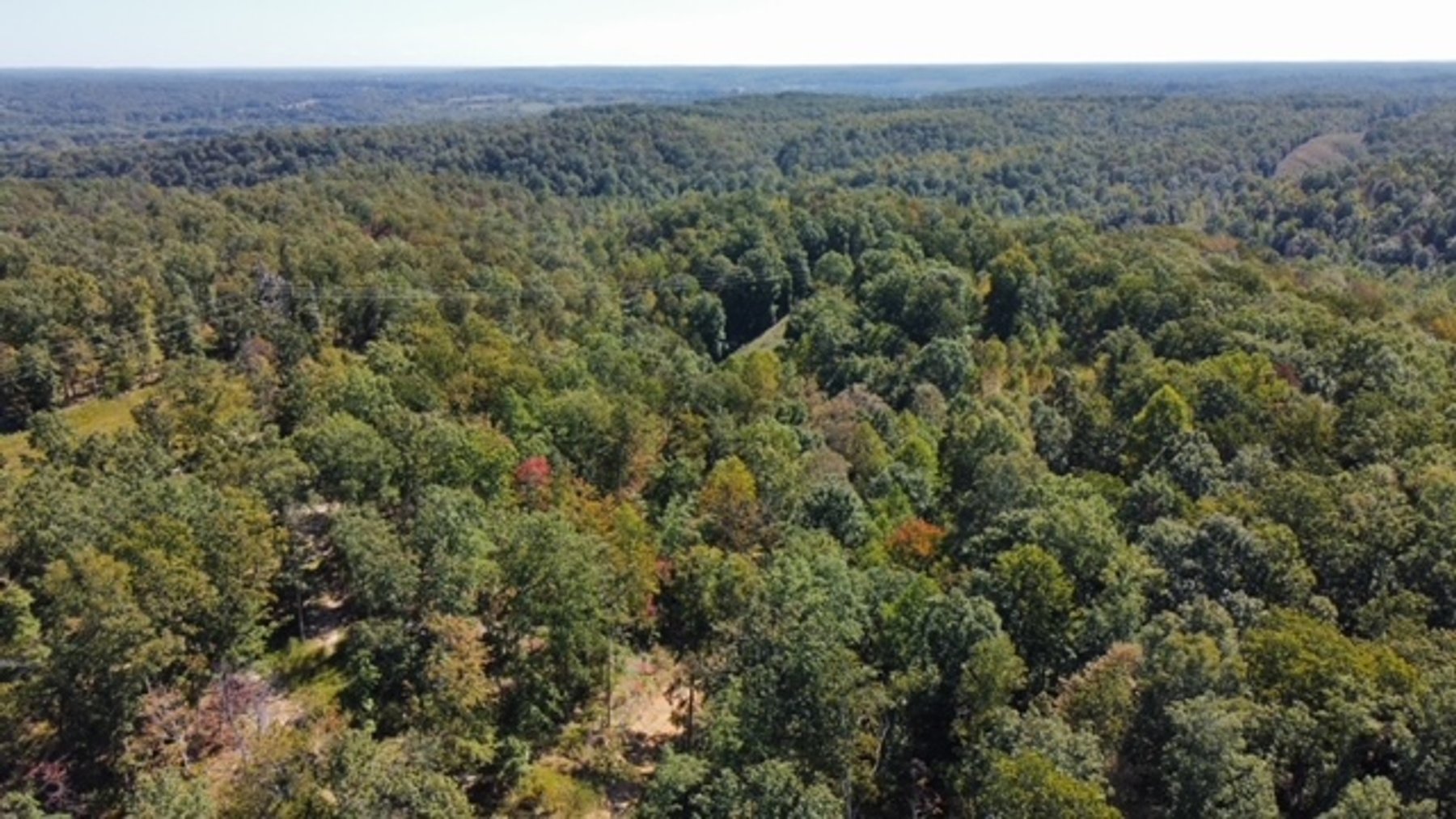 Image for 83 acres on Hwy 50 - 30 & 50 acre tracts - Hickman County
