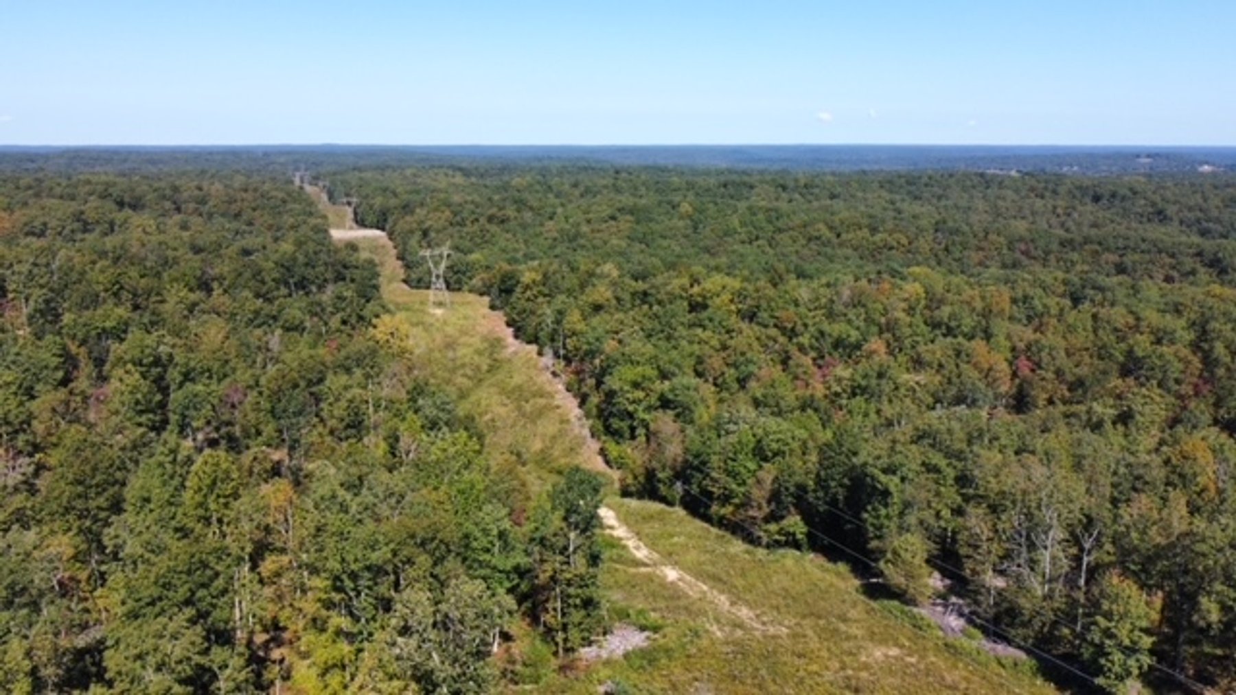 Image for 83 acres on Hwy 50 - 30 & 50 acre tracts - Hickman County