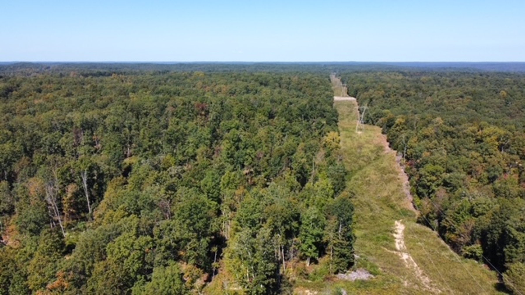 Image for 83 acres on Hwy 50 - 30 & 50 acre tracts - Hickman County