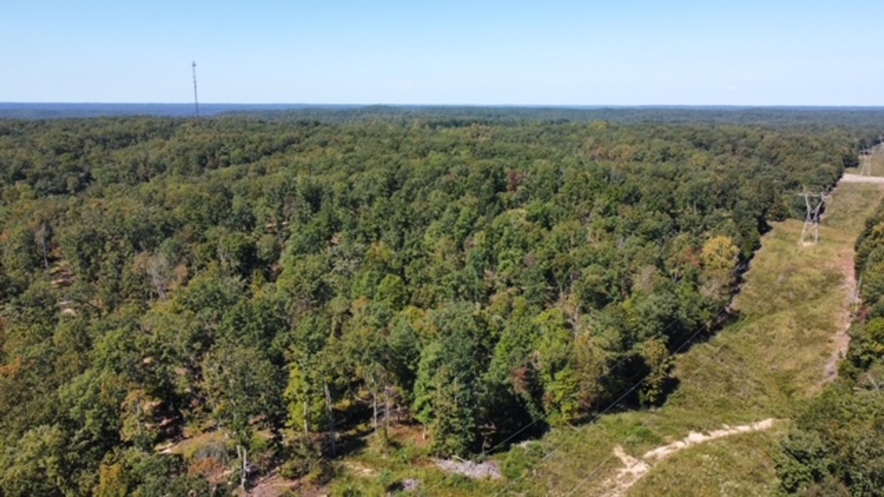 Image for 83 acres on Hwy 50 - 30 & 50 acre tracts - Hickman County