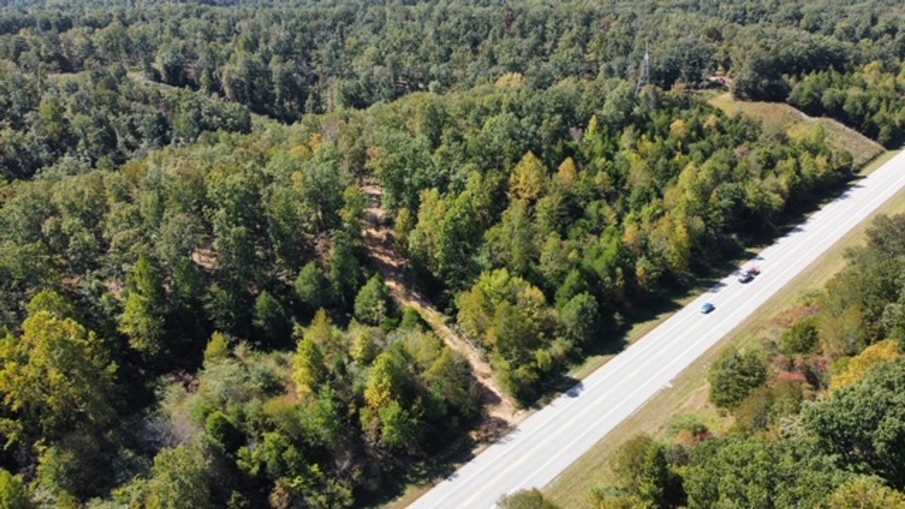 Image for 83 acres on Hwy 50 - 30 & 50 acre tracts - Hickman County