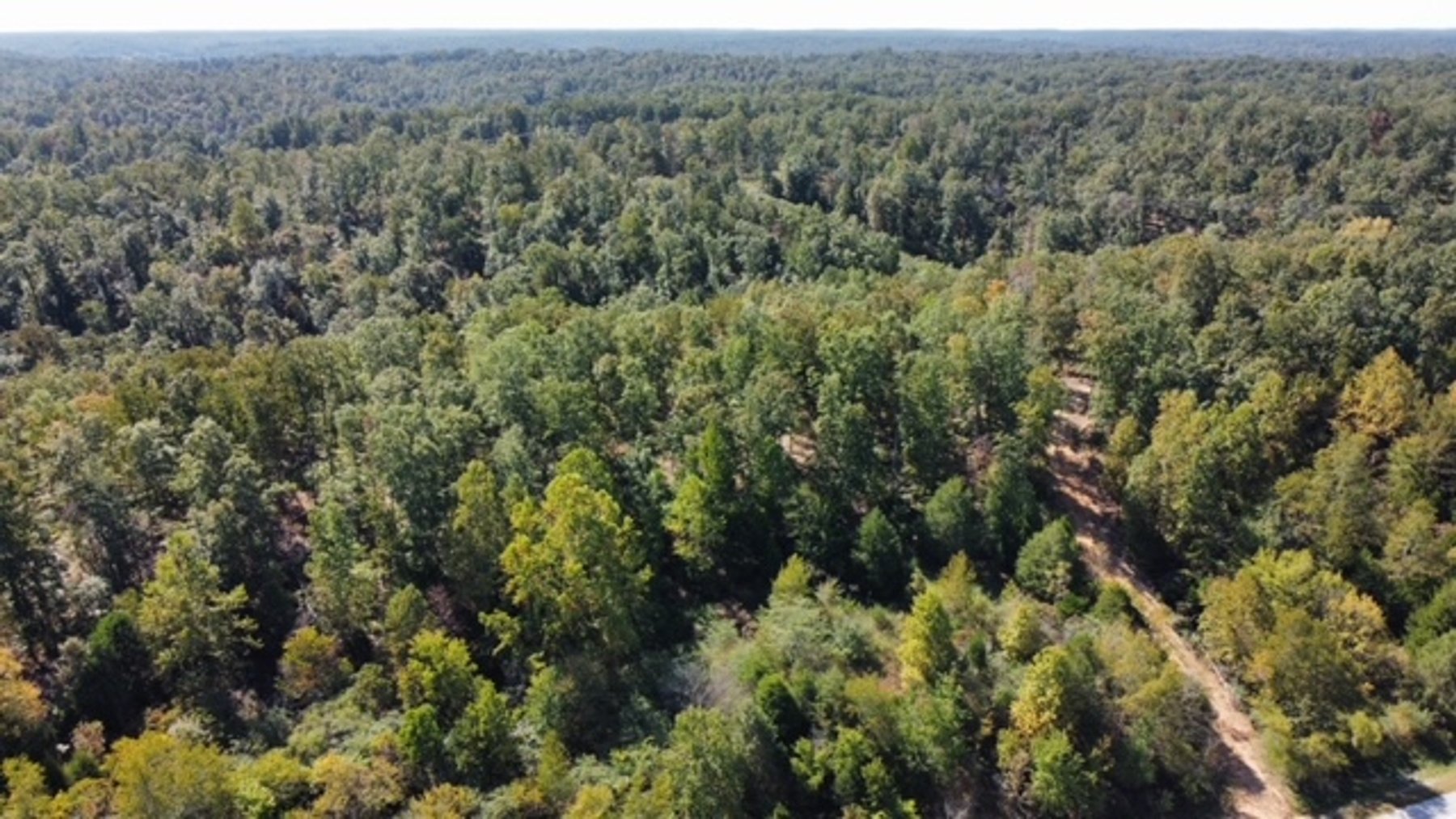 Image for 83 acres on Hwy 50 - 30 & 50 acre tracts - Hickman County