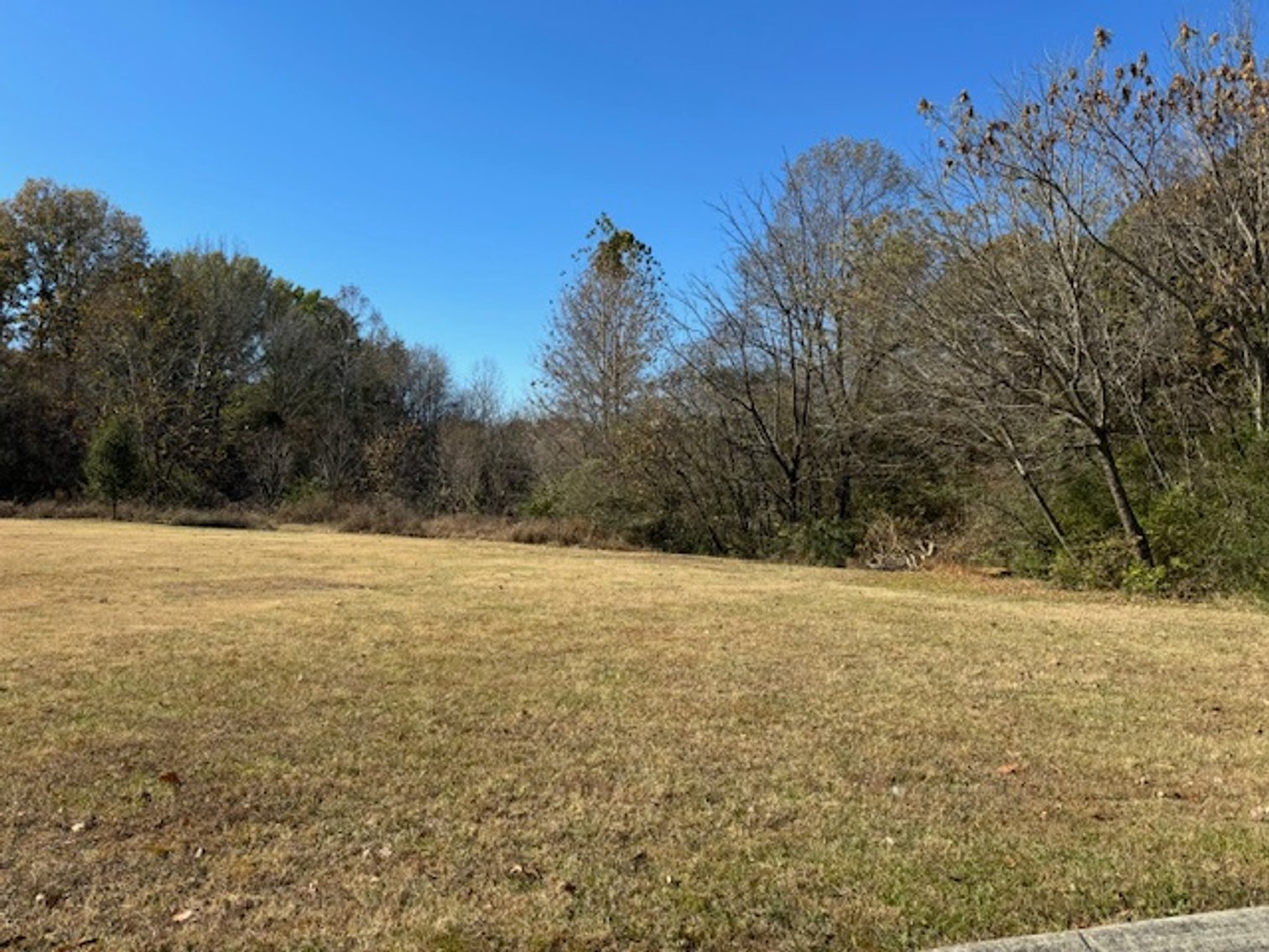 Image for Fairview Premium Development - 40 acres on Fairview Blvd