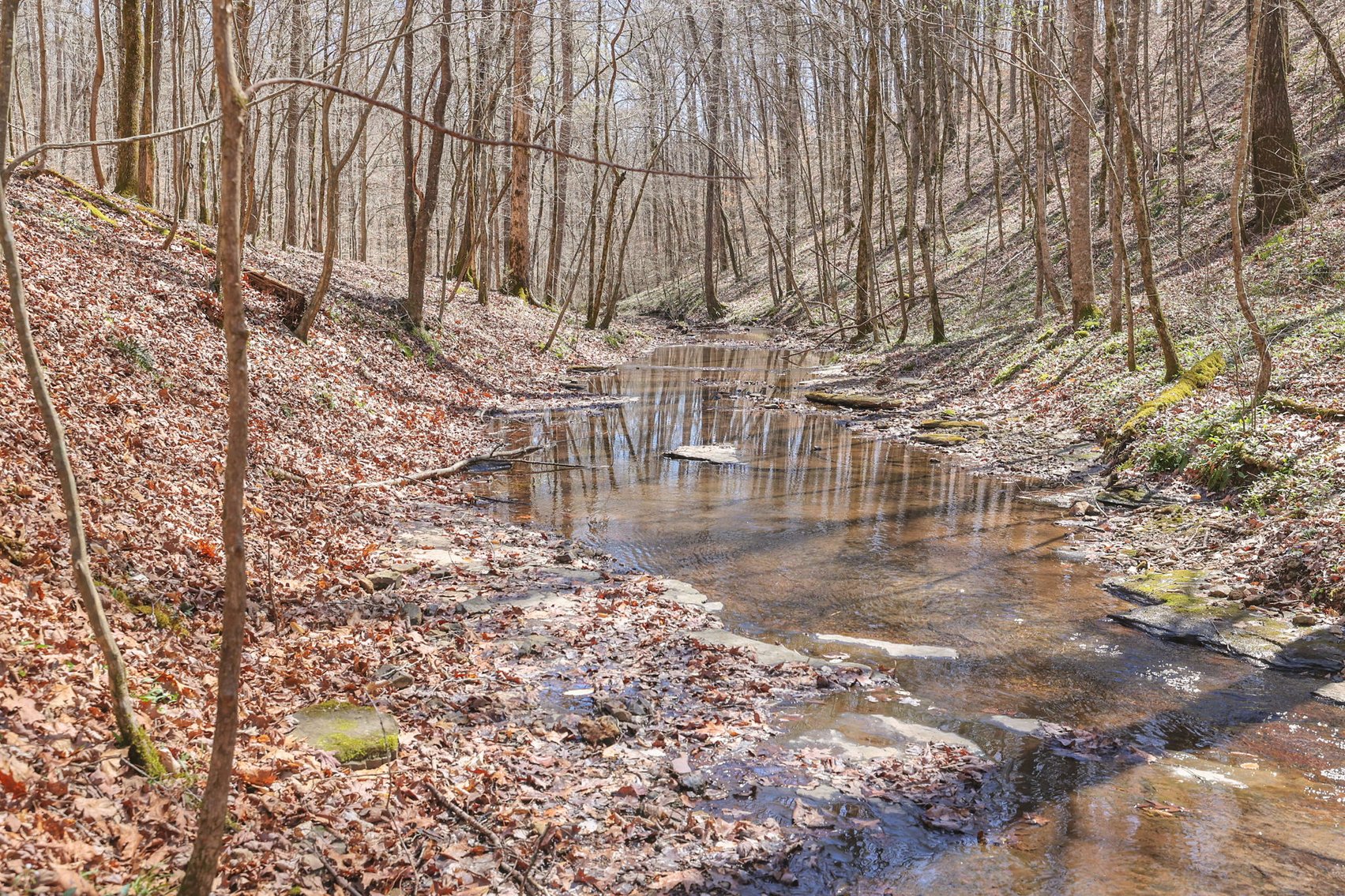 Image for 77 Acre Farm in Williamson County