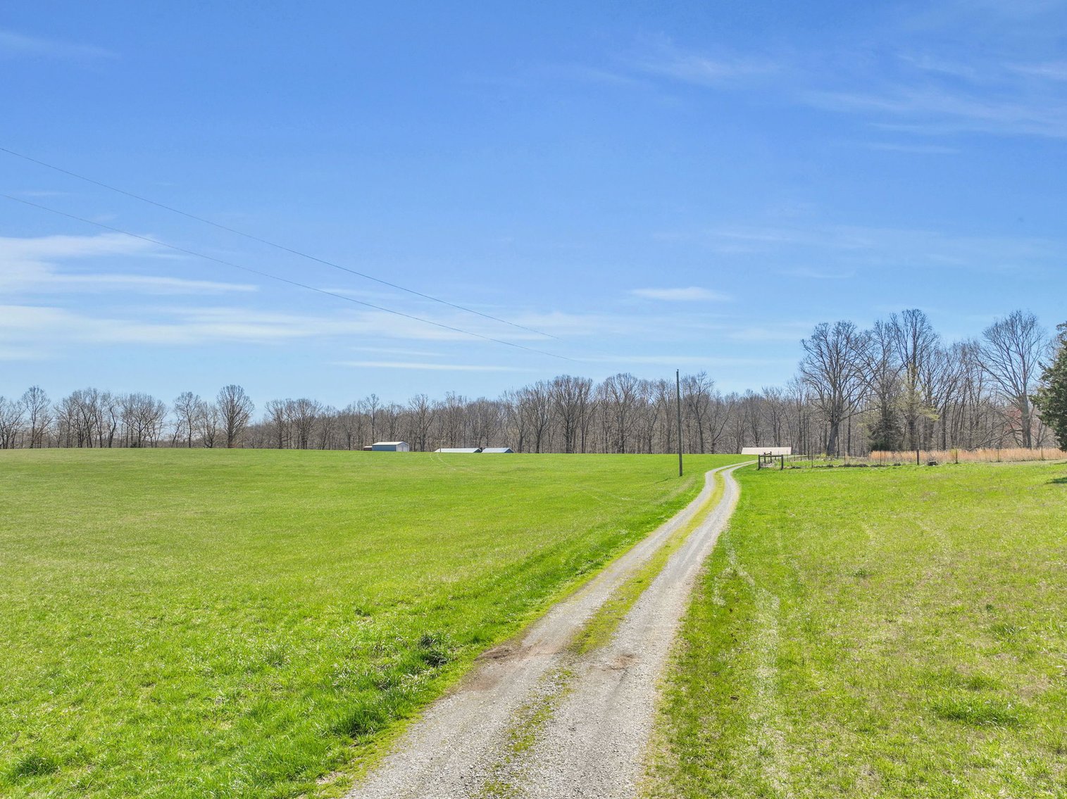 Image for 77 Acre Farm in Williamson County