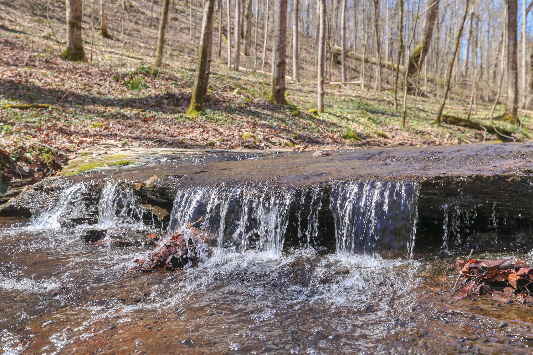 Image for 77 Acre Farm in Williamson County