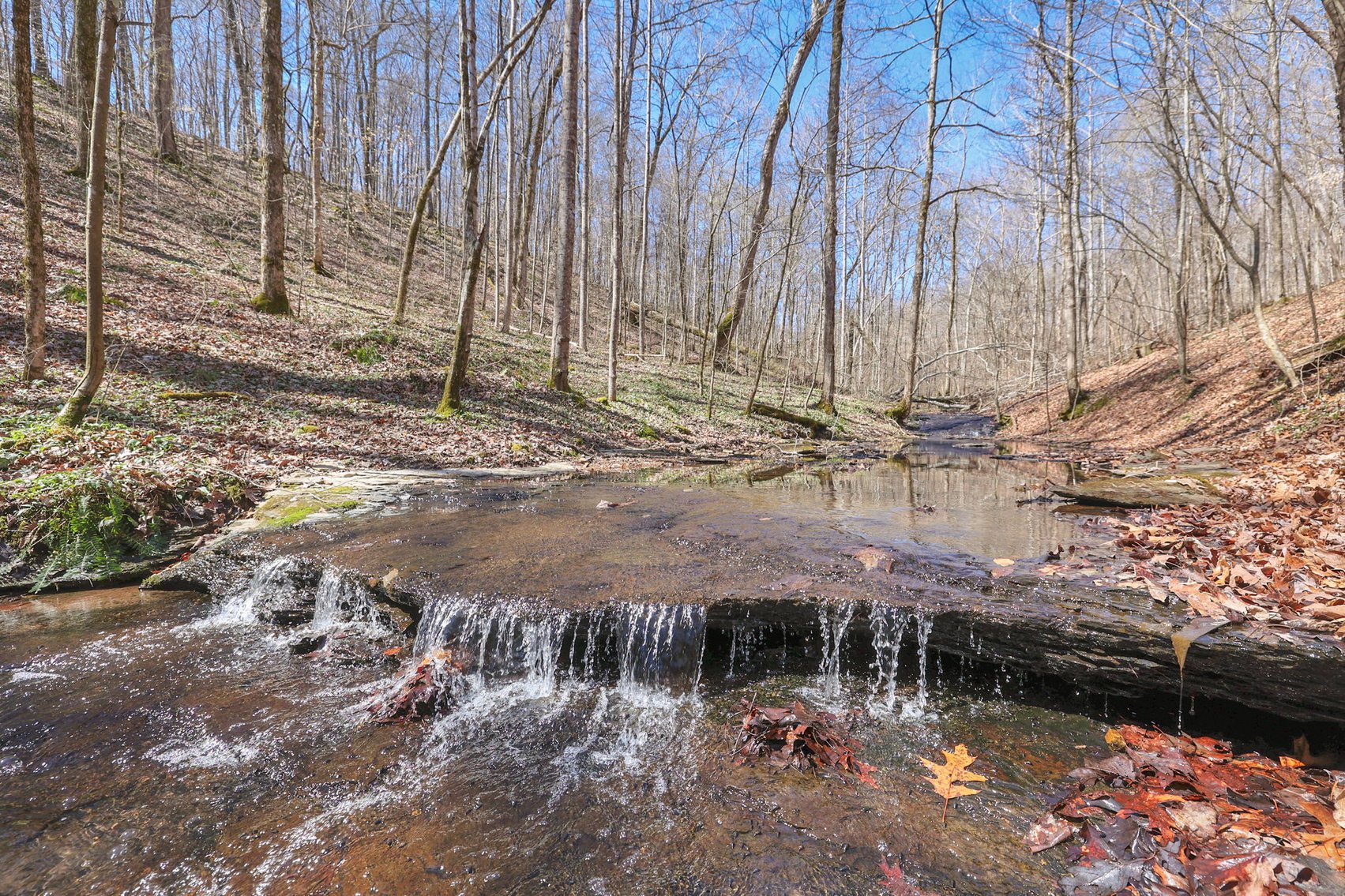 Image for 77 Acre Farm in Williamson County