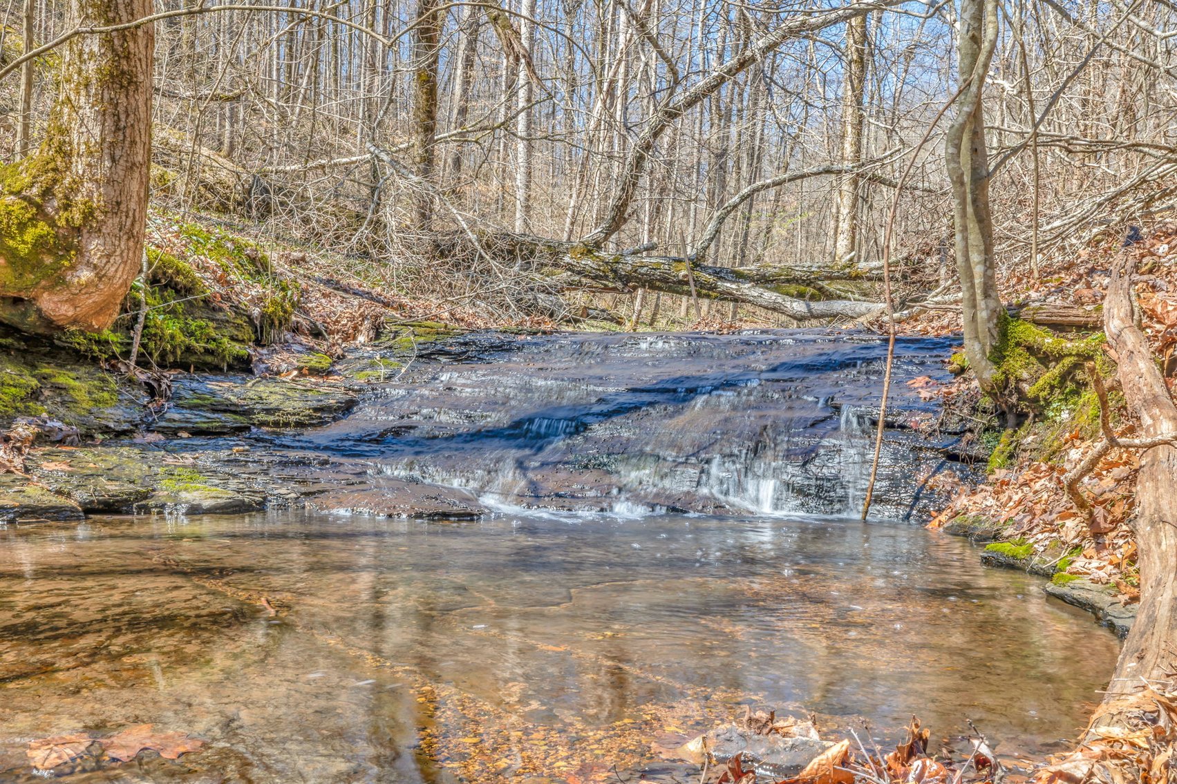 Image for 77 Acre Farm in Williamson County