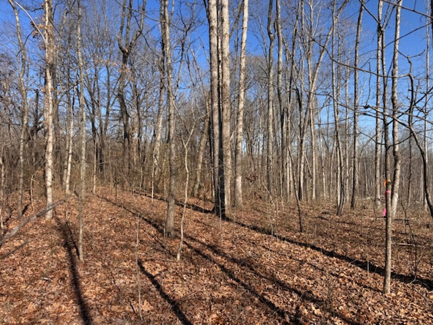 Image for Hwy 100 Vacant Lot - 1.5 acres - Estate Auction