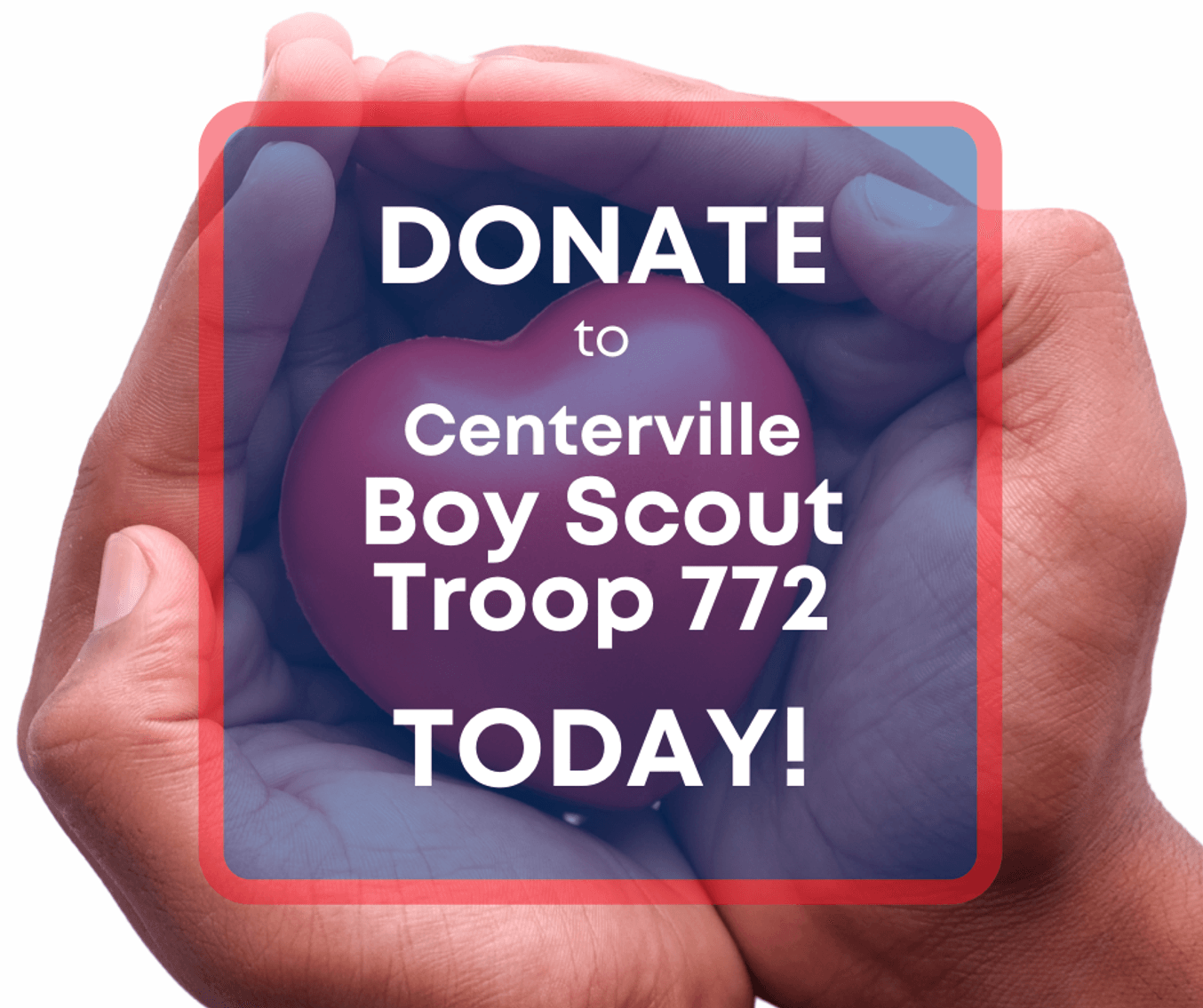 Image for Boy Scouts Centerville Troop 772 - Benefit Auction