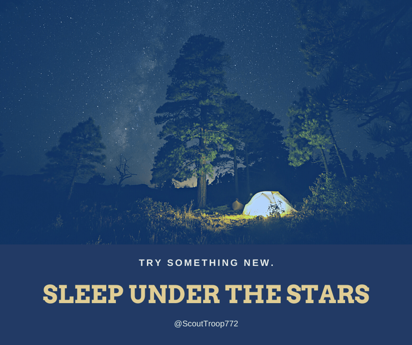 Image for Boy Scouts Centerville Troop 772 - Benefit Auction