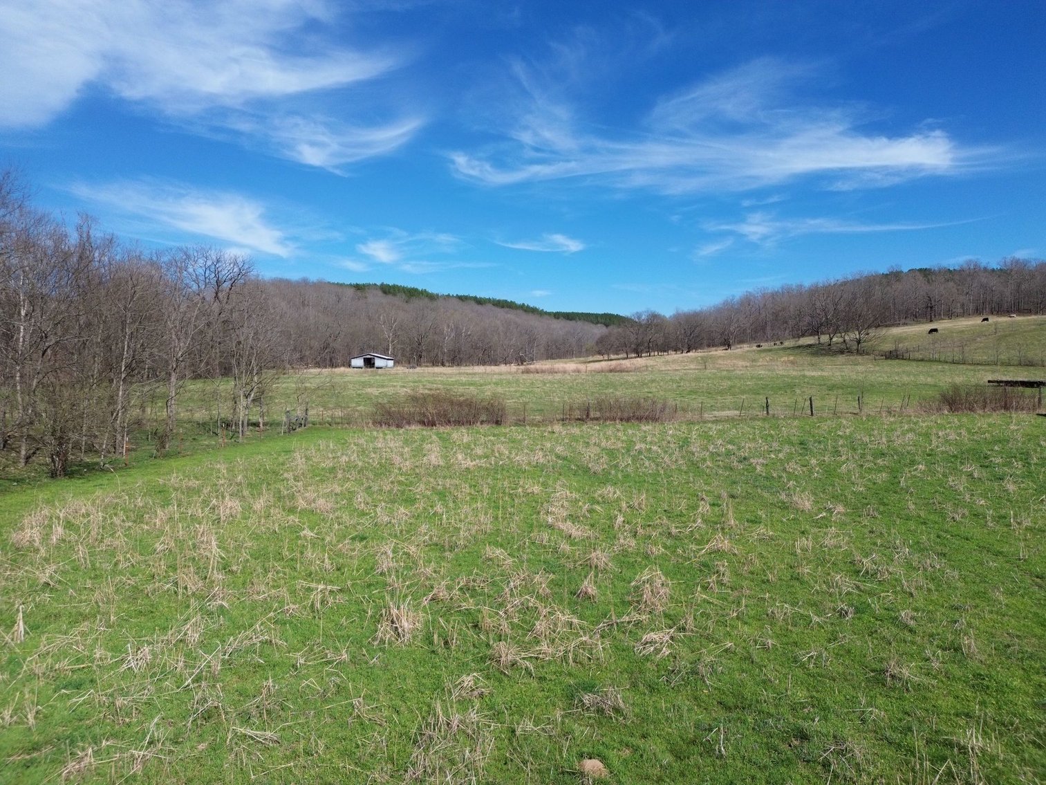 Image for 44 acres - Farm on Beaverdam Creek on Hwy 48 S