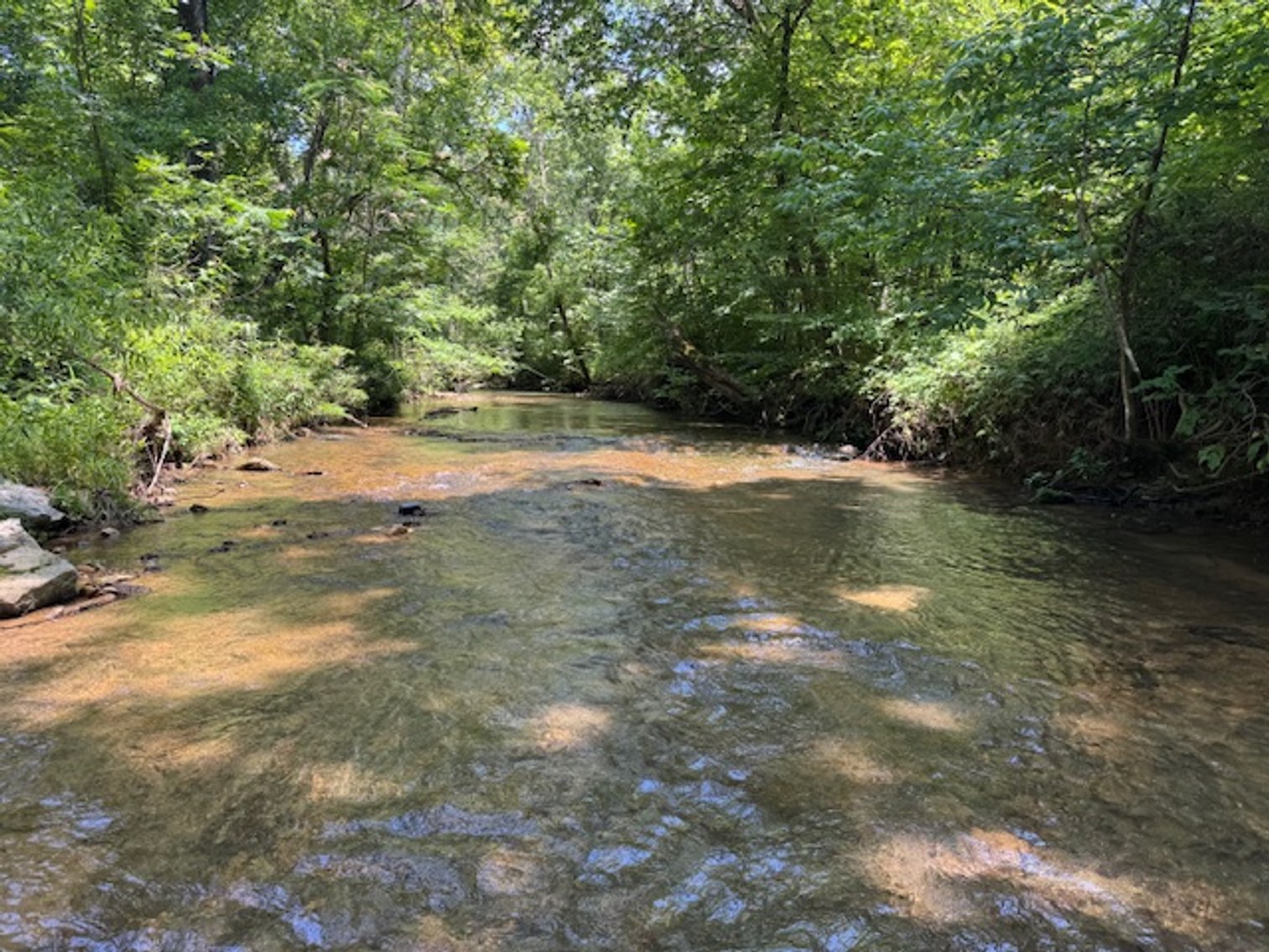 Image for Mill Creek -- Amazing Place, How Sweet the Sounds - 79 acres