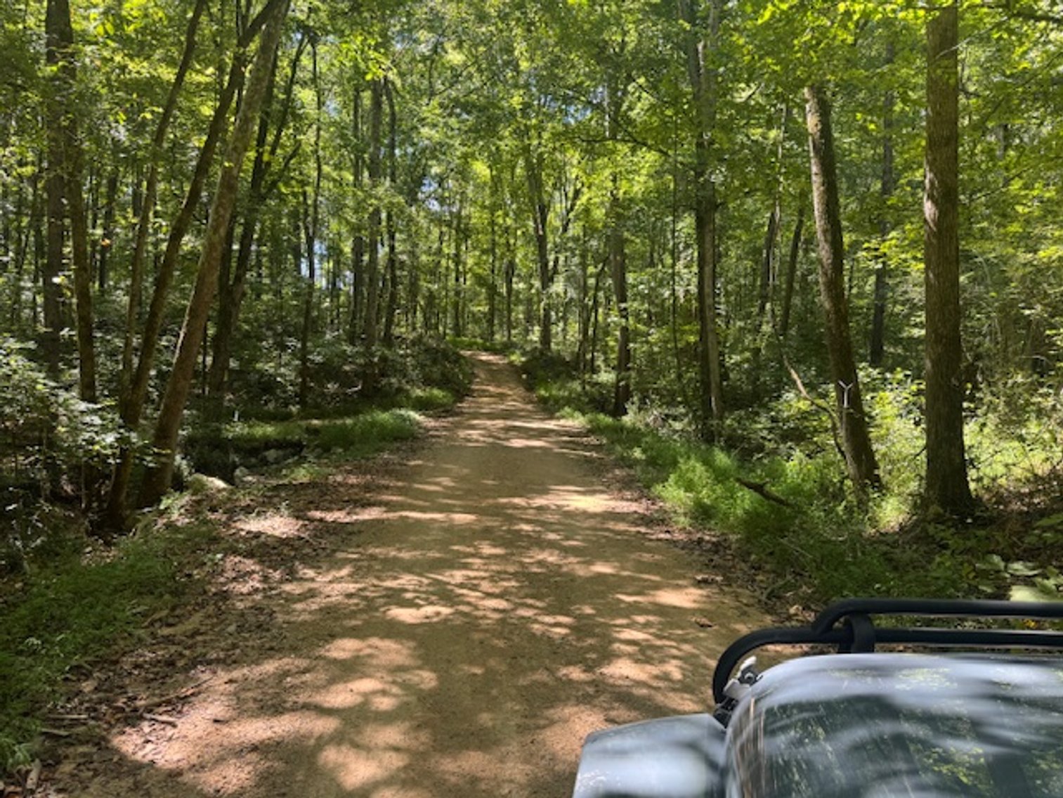 Image for 65 acres on Barren Fork Creek - Bon Aqua, TN